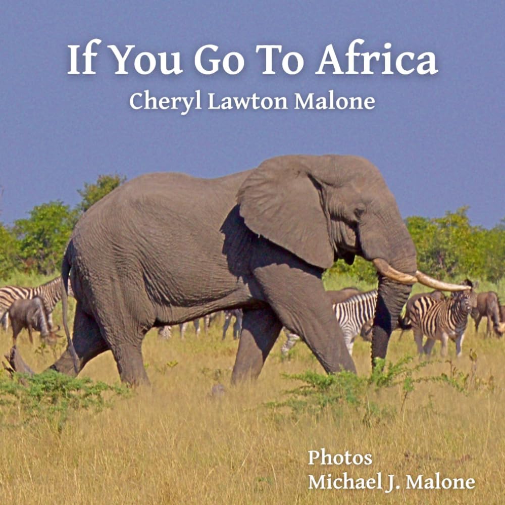 If You Go To Africa cover