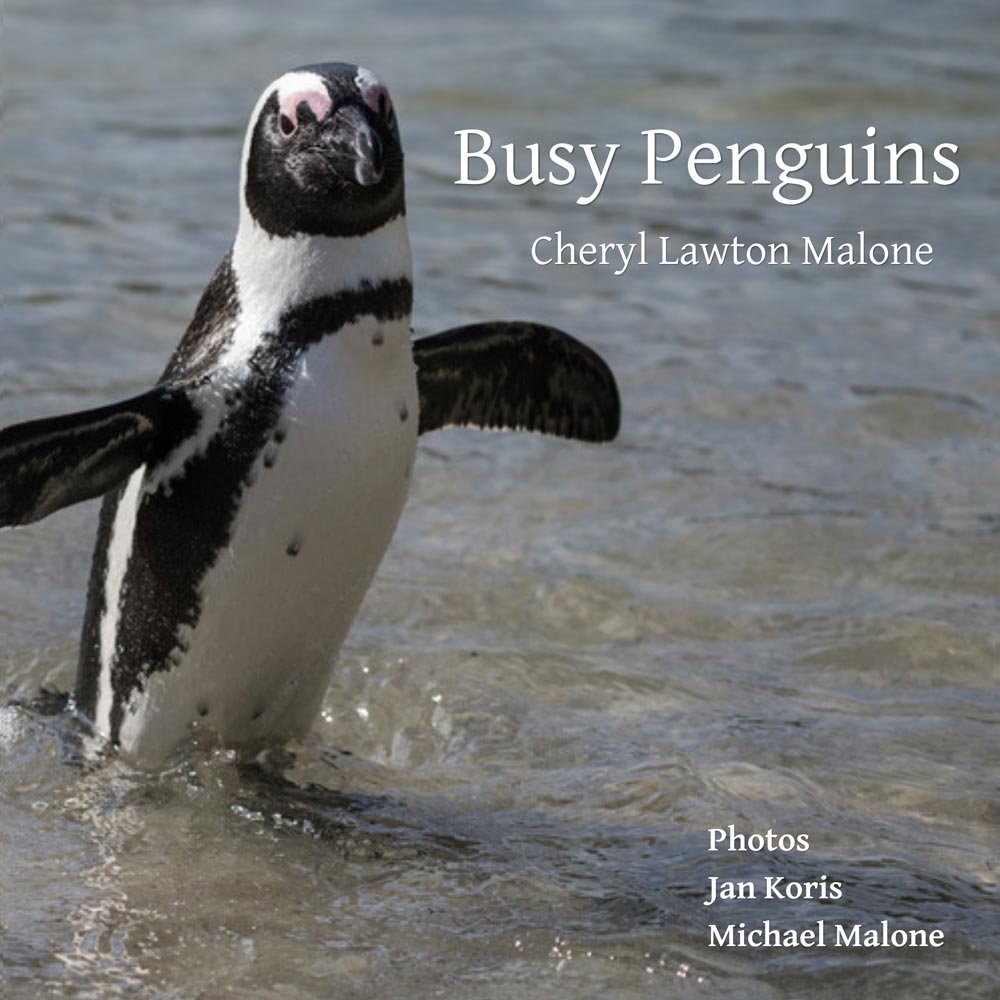 Busy Penguins cover